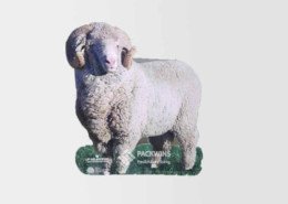 Creative-Sheep-POS-Purchase-Custom-Life-Size-Cutouts-Standees